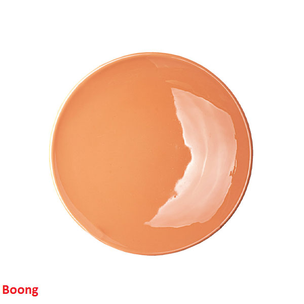 بهترین مارک بشقاب غذا خوری