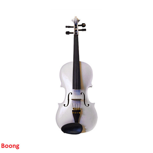 بهترین مارک ساز ویولن